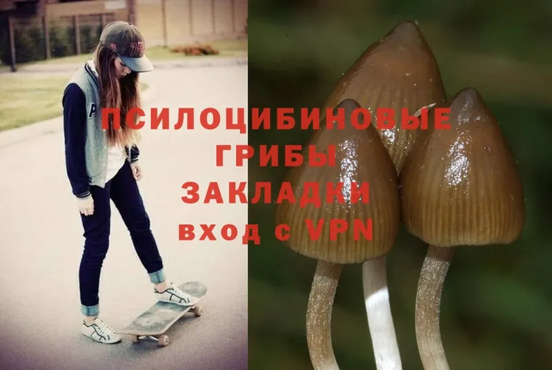 Псилоцибиновые грибы MAGIC MUSHROOMS  наркотики  Краснозаводск 